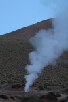 Hot Steam Vent Geysers